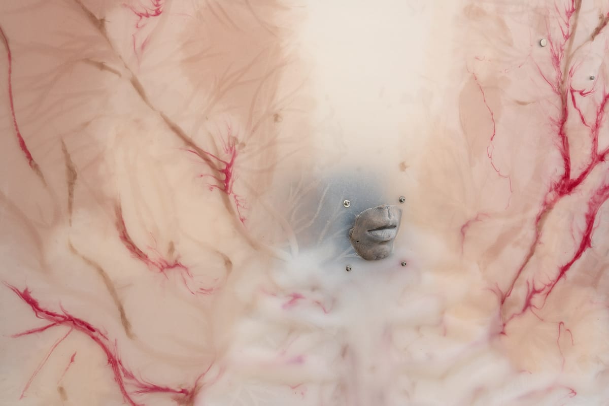 New Currents: Xin Liu
