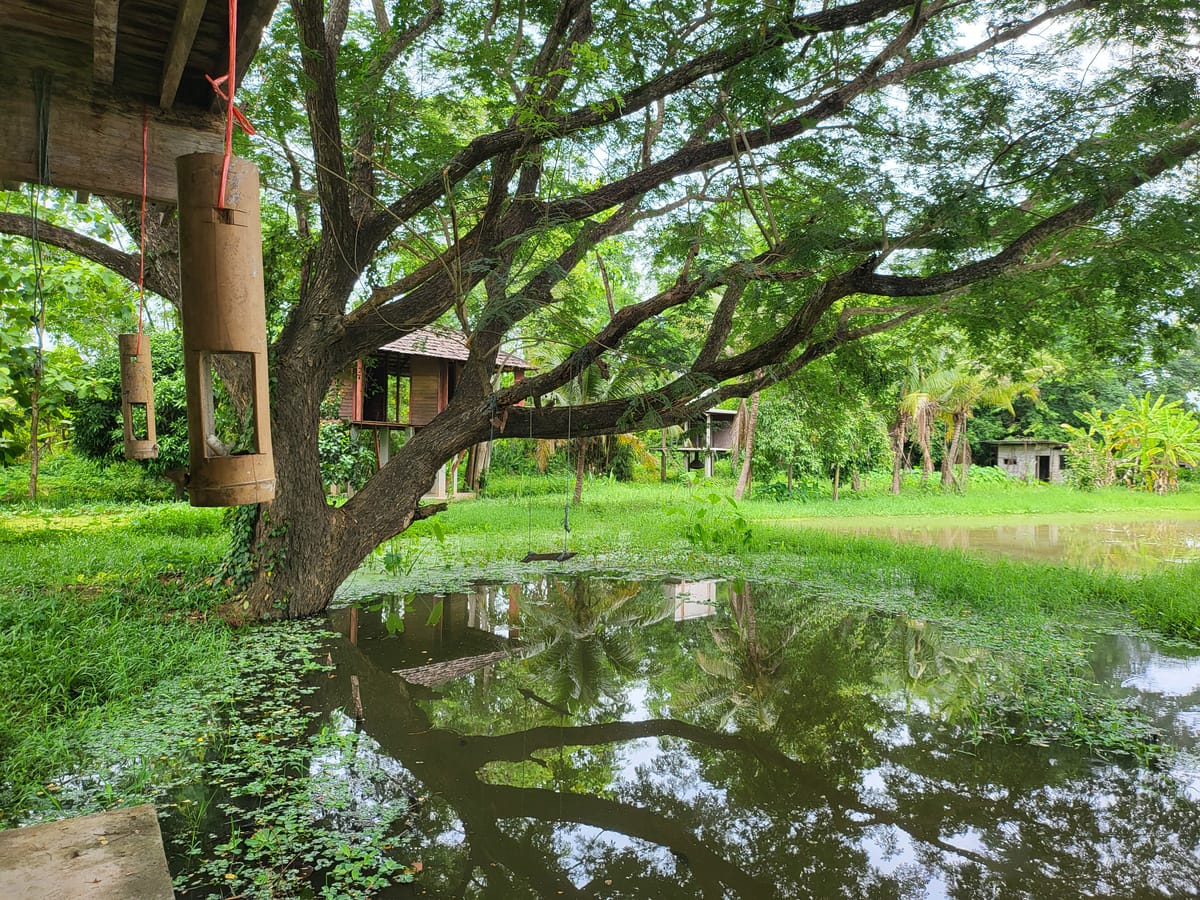 Dispatch: Chiang Mai