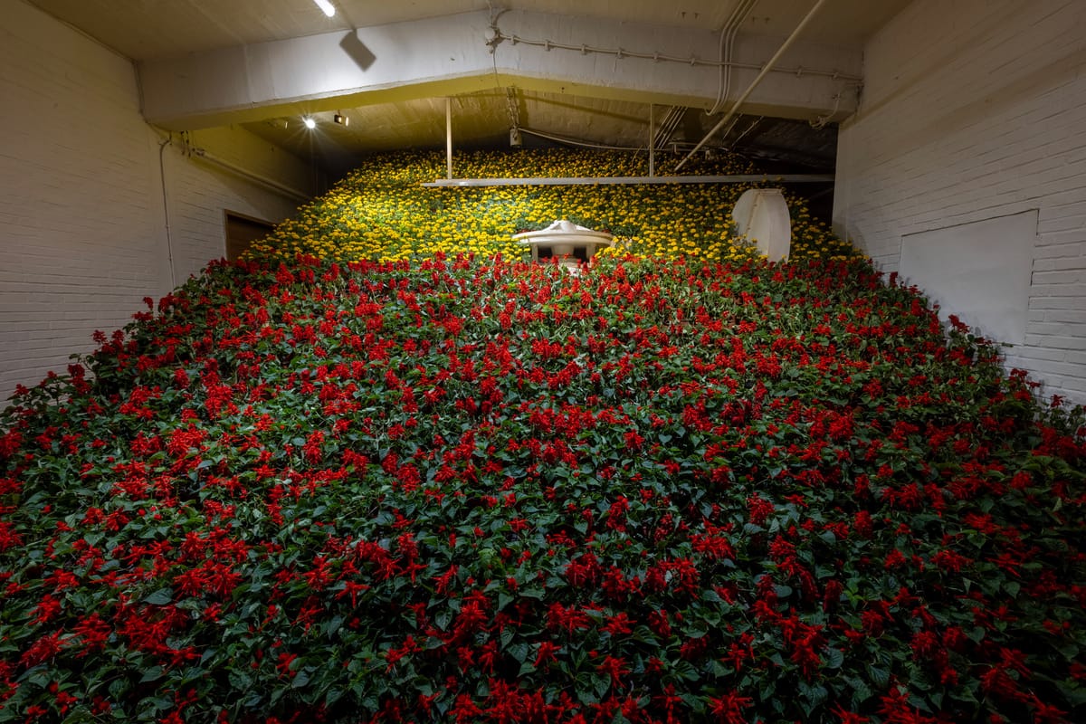 Exhibitions of 2025: Ma Qiusha’s “A Young Man”