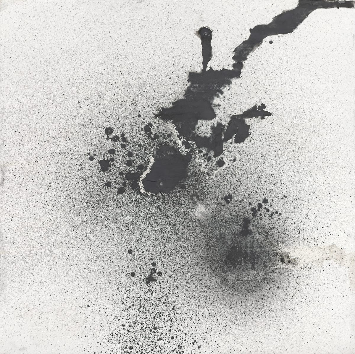 Artists of 2025: Gala Porras-Kim