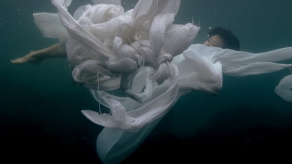 Up Close: Jane Jin Kaisen