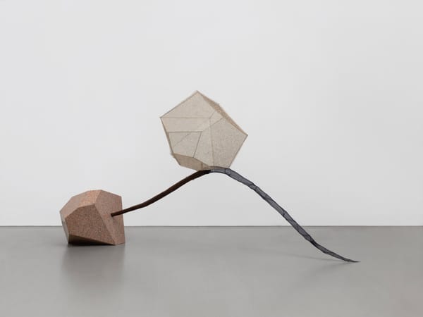 Up Close: Hu Xiaoyuan