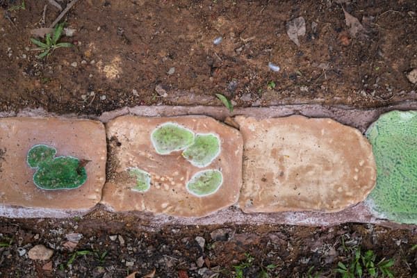 Pure Intention, Muddy Ground: Singapore Biennale 2025