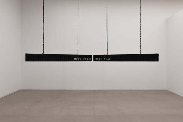 Artists of 2025: Shilpa Gupta