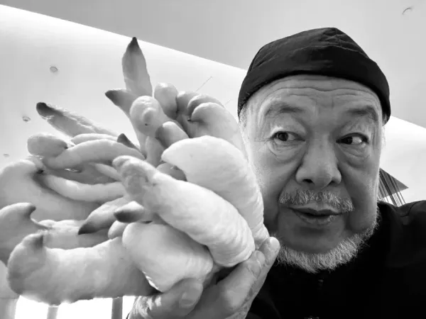 Ai Weiwei Returns to China After 10 Years