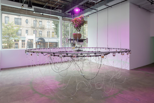 Heigh-Ho, It’s Off to Work We Glow