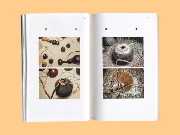 Book Review: The Disoriented Garden... A Breath of Dream